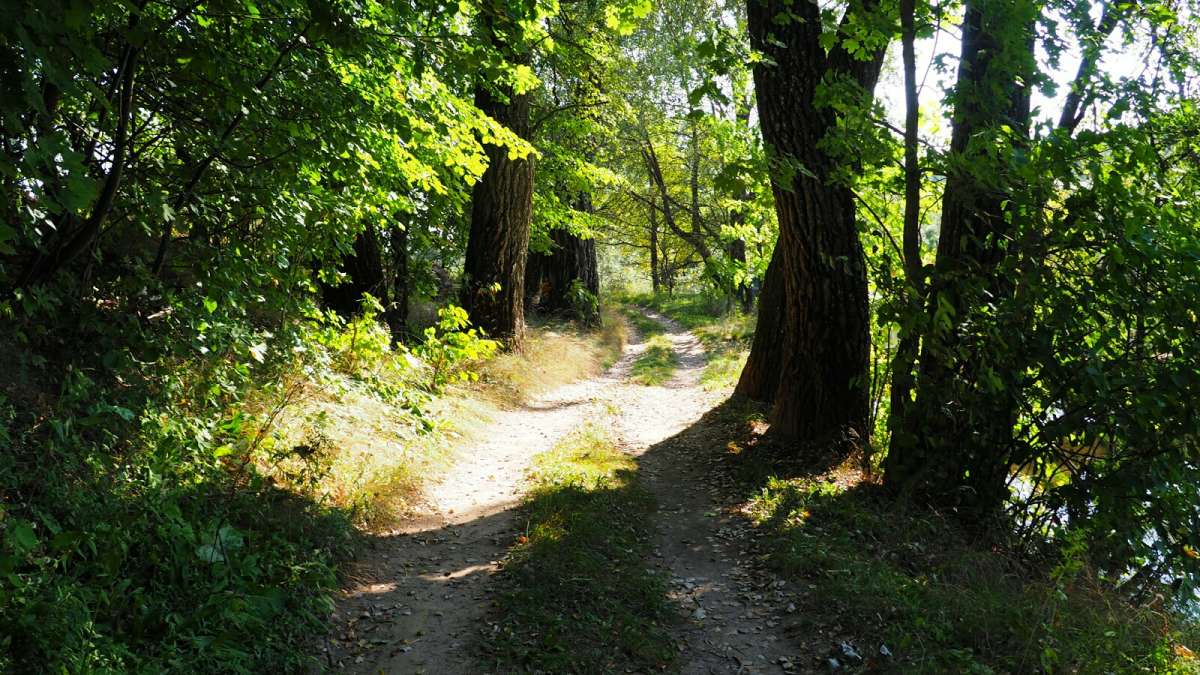 ����� - �������� ����� �������� �������� �� PhotoGeek.ru #������ ��� �������