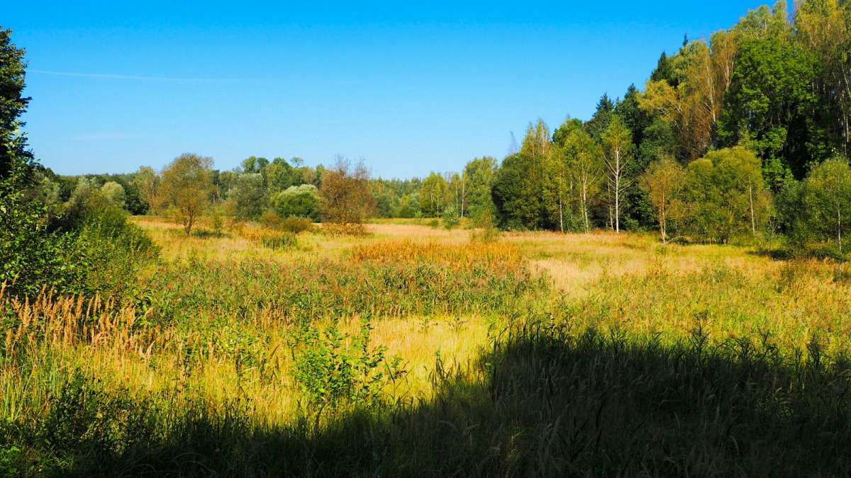 ������ �����. ����� �������� �������� �� PhotoGeek.ru #������ ��� �������