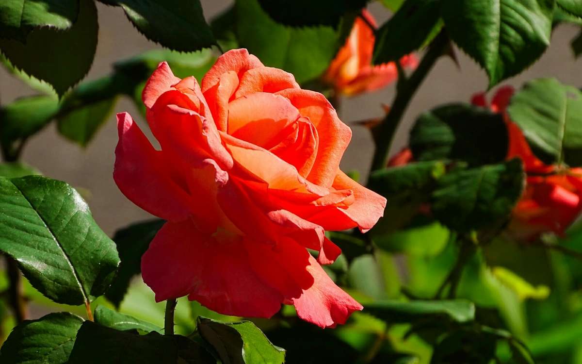 ��������� ����. ����� �������� �������� �� PhotoGeek.ru #����� #�����