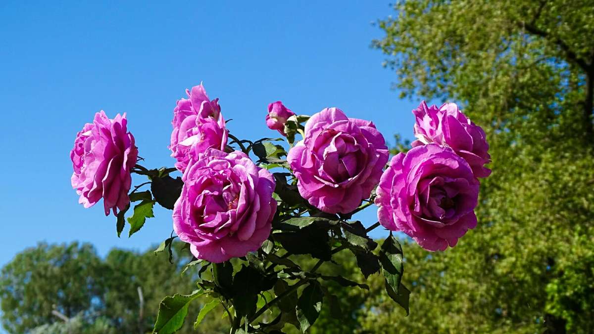 ��������� ����� ����� �������� �������� �� PhotoGeek.ru #����� #�����