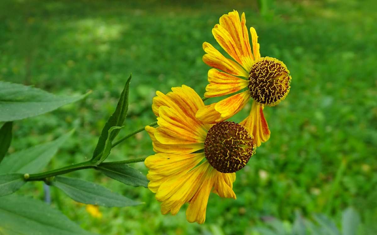 ����� �� ��������� ������� ����� �������� �������� �� PhotoGeek.ru #����� #�����