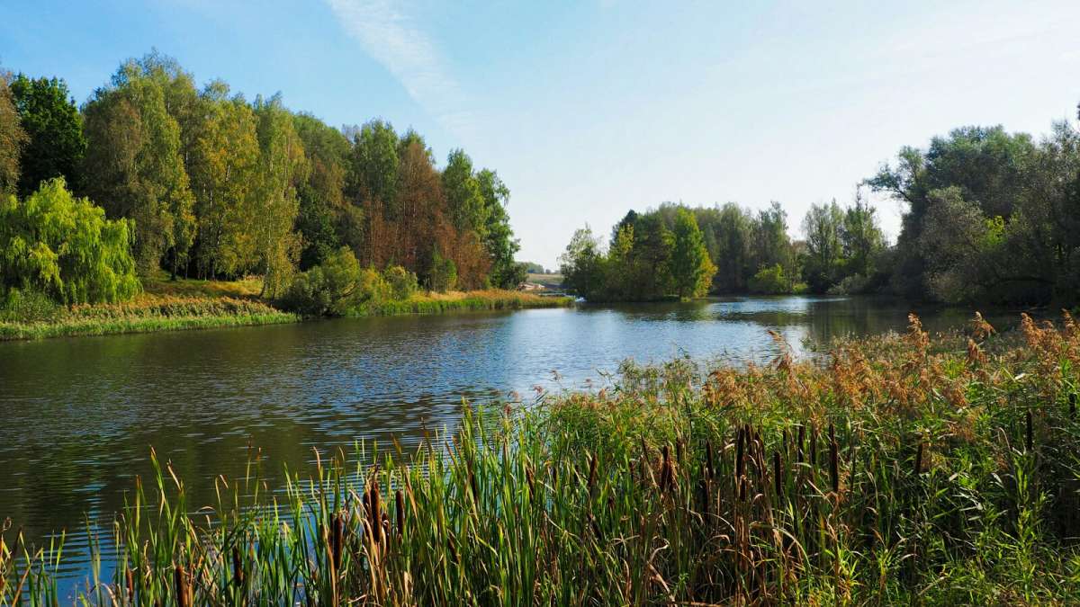 �������� �����. ����� �������� �������� �� PhotoGeek.ru #������ ��� �������