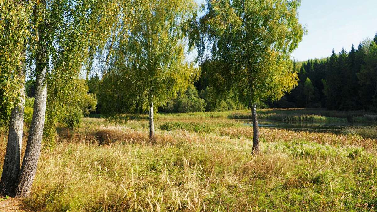 ������� ������� ����������. ����� �������� �������� �� PhotoGeek.ru #������ ��� �������