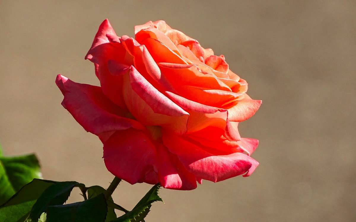 ��������� ����� ����� �������� �������� �� PhotoGeek.ru #����� #�����