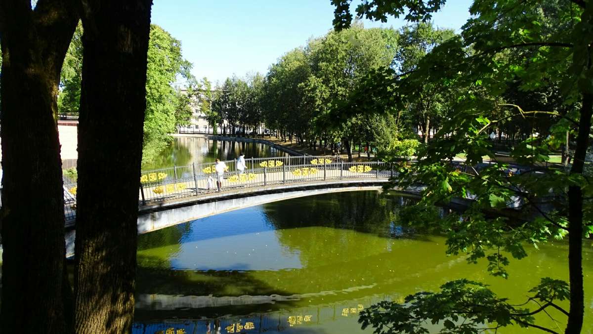 ������ ��������� � ��������� ����. ����� �������� �������� �� PhotoGeek.ru #����� #������ ��� ������� #�����������