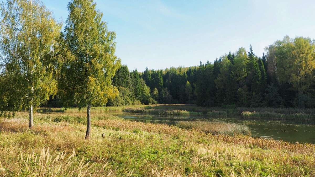 ������� ������� ���������� ����� �������� �������� �� PhotoGeek.ru #������ ��� �������