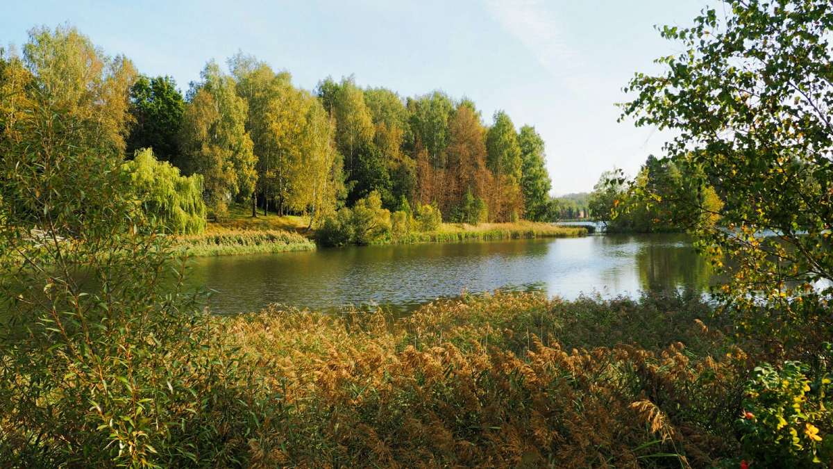 ���� ����� ����� �������� �������� �� PhotoGeek.ru #������ ��� �������