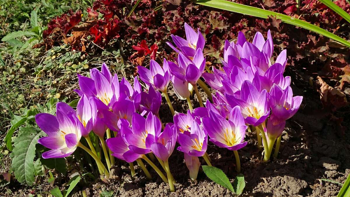 ������������� �� ��������� ������. ����� �������� �������� �� PhotoGeek.ru #����� #����� #������ ��� �������