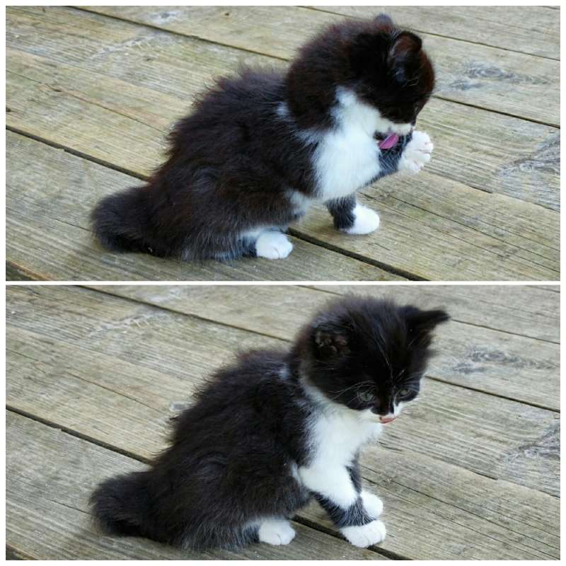 ����� ����� ������. ����� �������� �������� �� PhotoGeek.ru #�������� ���