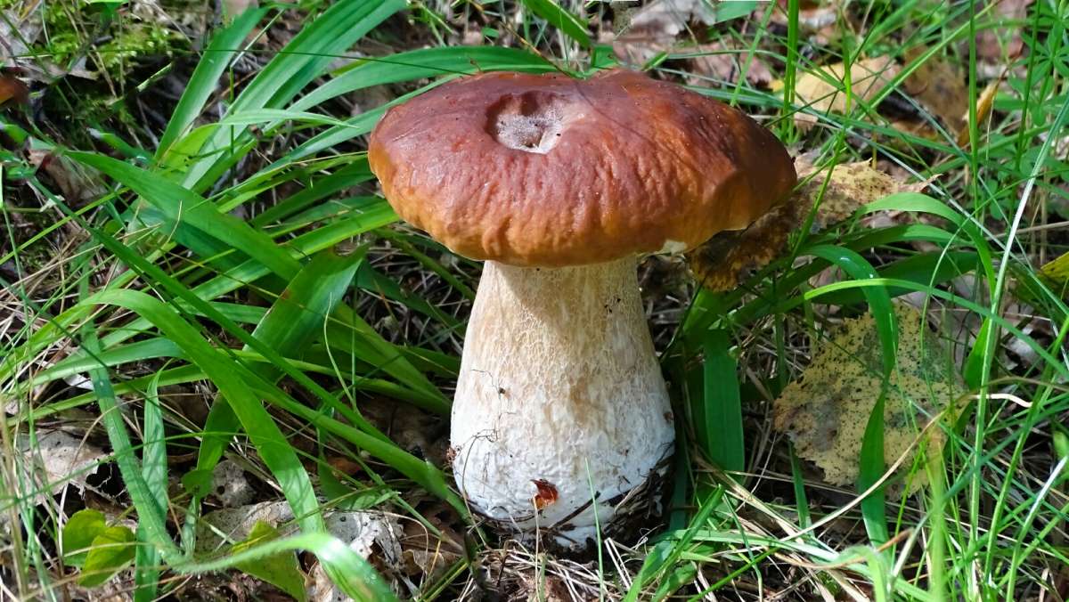 ����� ���� ����� �������� �������� �� PhotoGeek.ru #����� #������ ��� �������