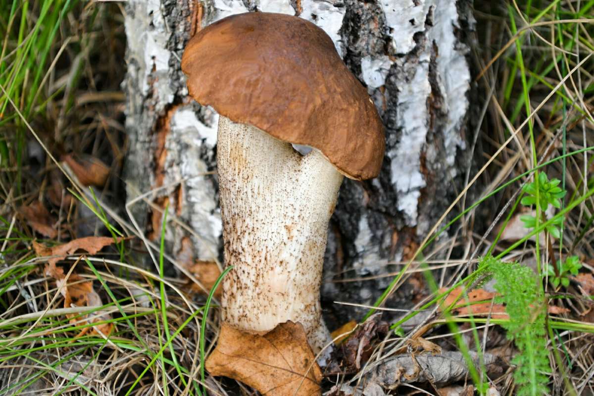 ���� � ���������� ������. ����� �������� �������� �� PhotoGeek.ru #��� #�����