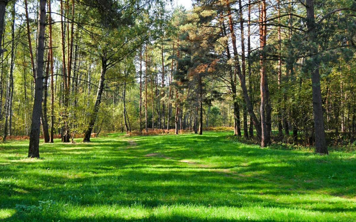 ������ ����� ���������� ����� �������� �������� �� PhotoGeek.ru #������ ��� �������