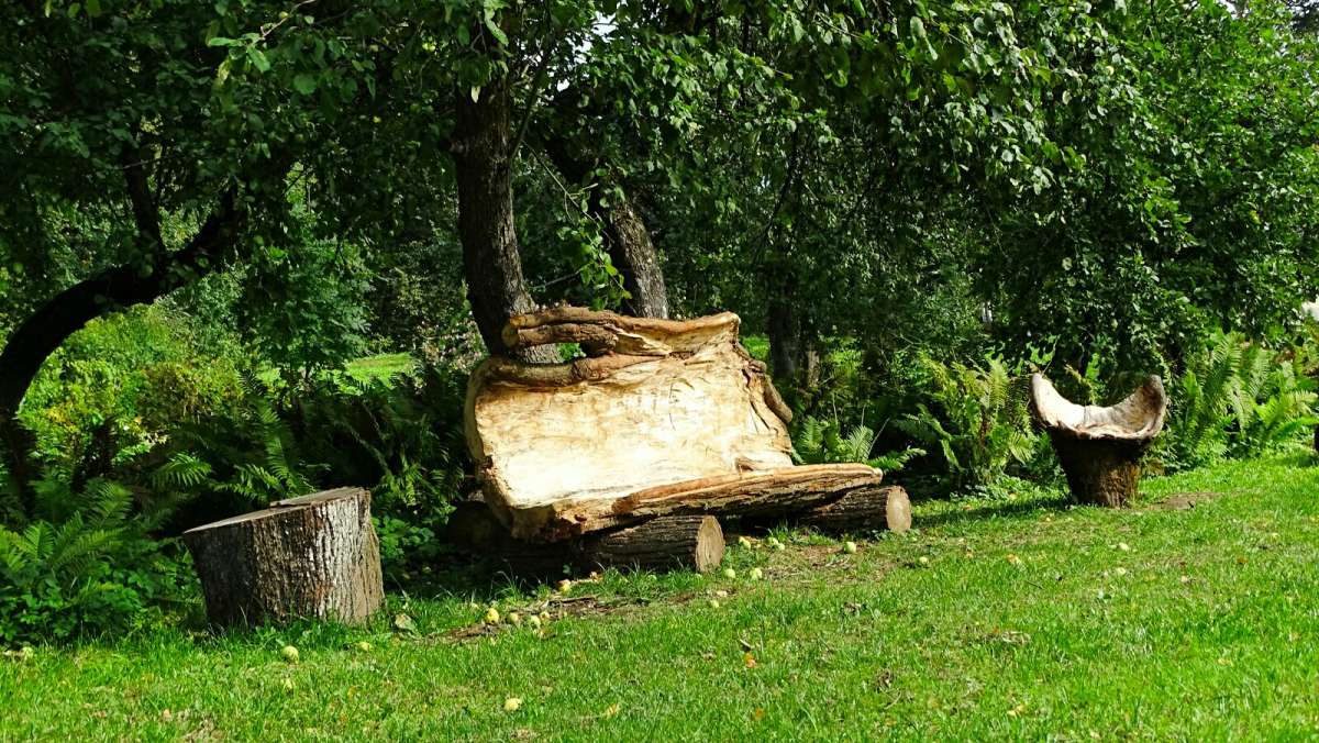 ������������ ��������. ����� �������� �������� �� PhotoGeek.ru #������ ��� ������� #�����������