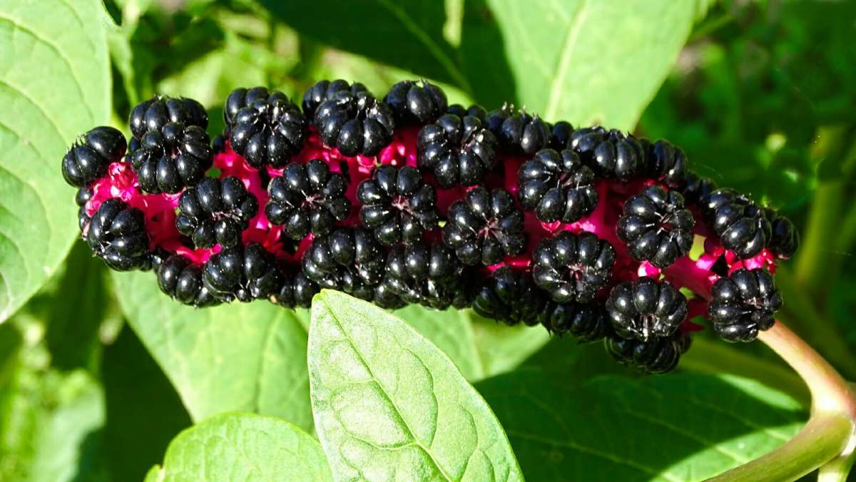 ������� ����� �������� �������� �� PhotoGeek.ru #����� #�����