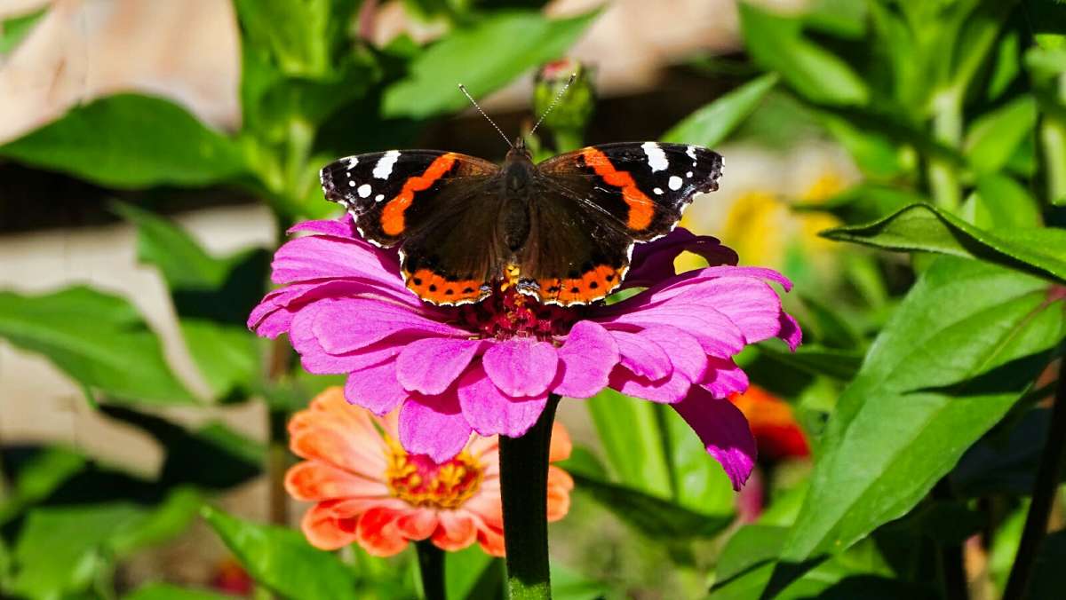 � �������� (�������) ����� �������� �������� �� PhotoGeek.ru #����� #�����