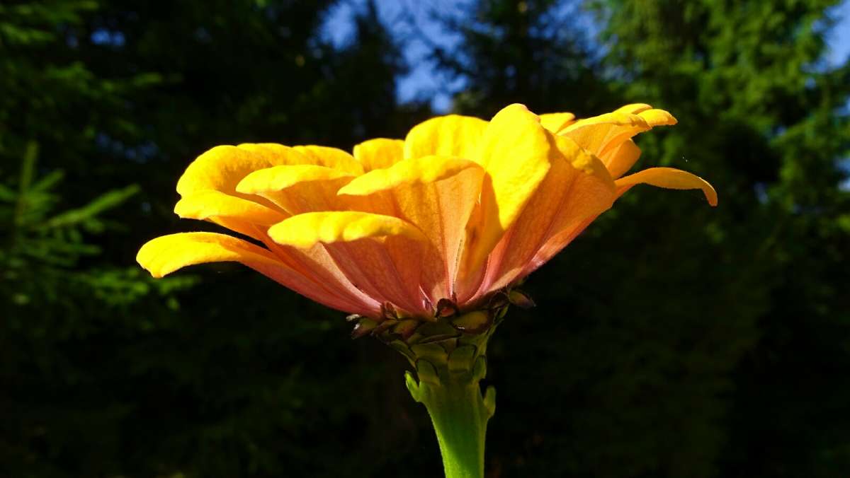 "�����" ����� �������� �������� �� PhotoGeek.ru #����� #�����