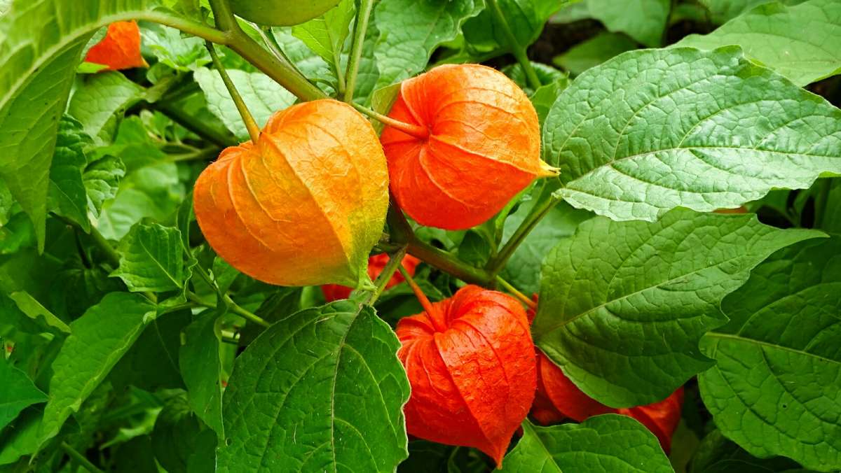 ������� ����� �������� �������� �� PhotoGeek.ru #����� #�����