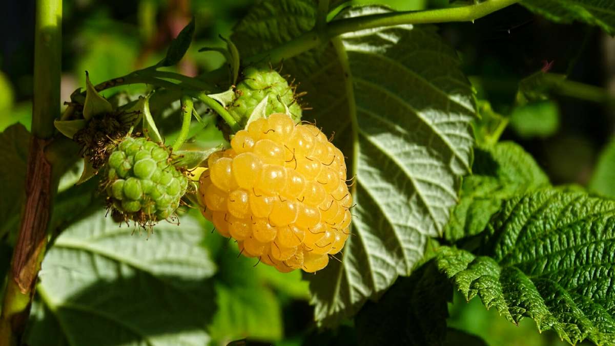 Ƹ���� ������. ����� �������� �������� �� PhotoGeek.ru #����� #�����