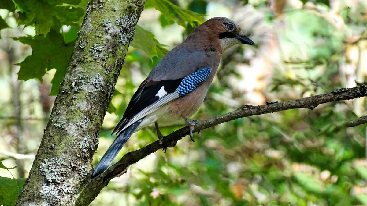 ����� �������������. ����� �������� �������� �� PhotoGeek.ru #�������� ���