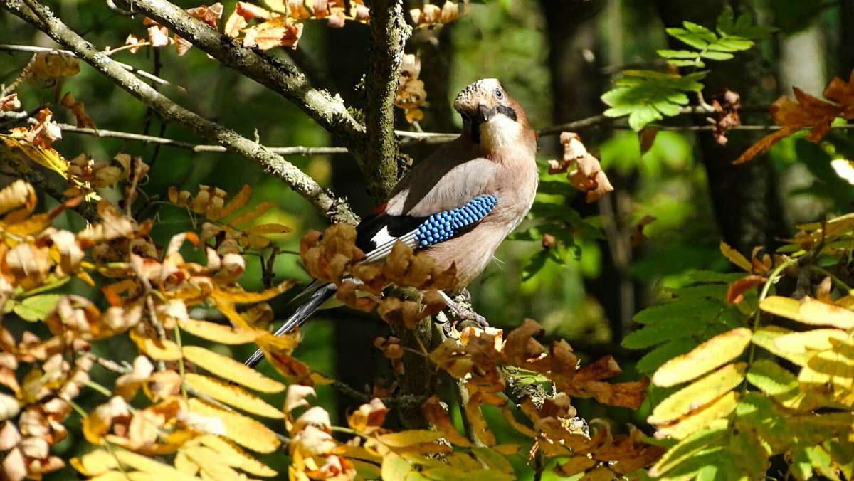 ����� ��������. ����� �������� �������� �� PhotoGeek.ru #�������� ���