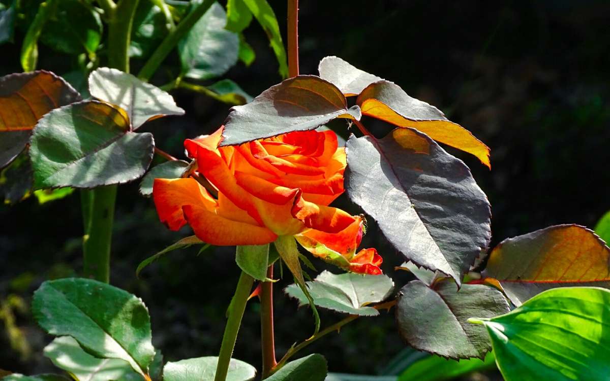 ���� ���������� �������. ����� �������� �������� �� PhotoGeek.ru #����� #�����