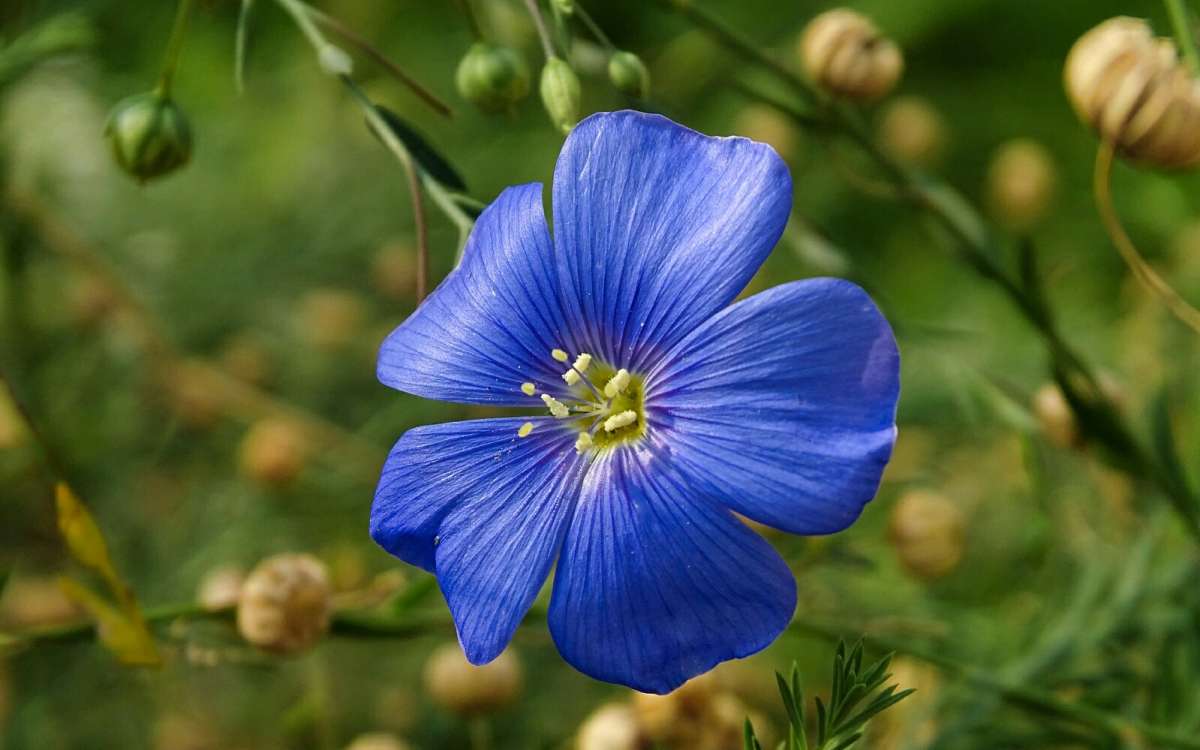 ����� ����� �������� �������� �� PhotoGeek.ru #����� #�����