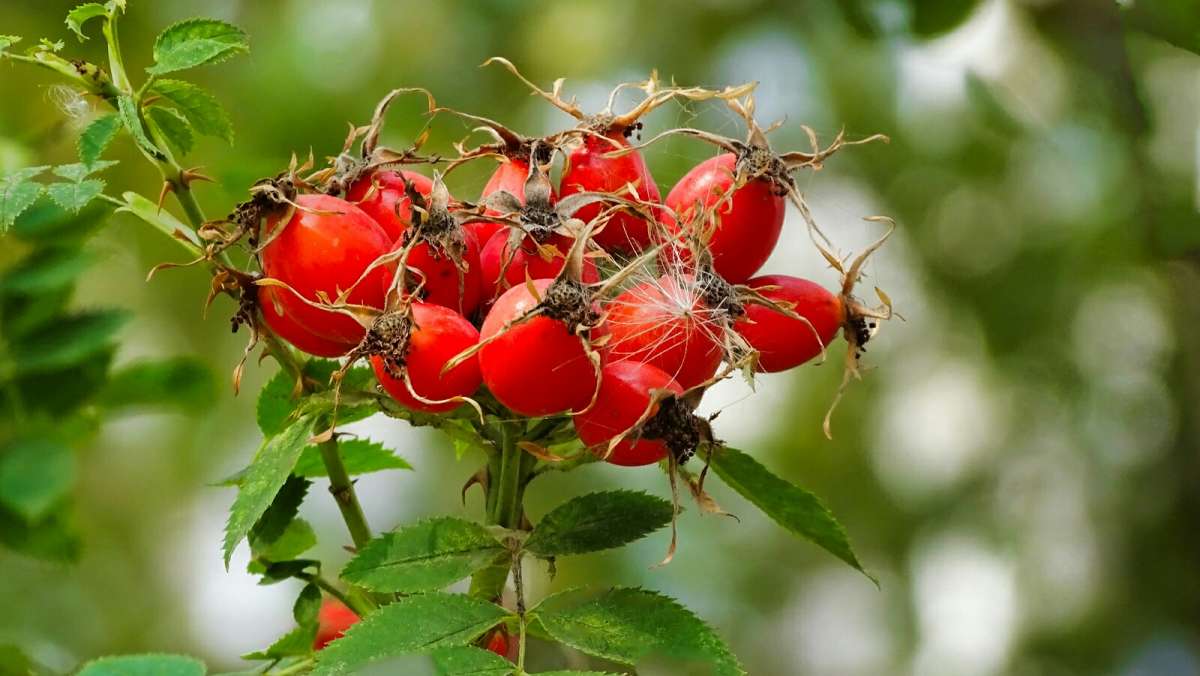 �������� � ��������� �����. ����� �������� �������� �� PhotoGeek.ru #��� #����� #�����