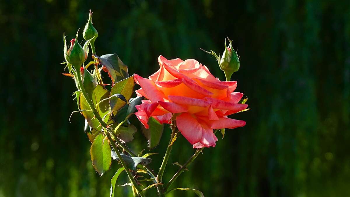 ���� � ��������� �����. ����� �������� �������� �� PhotoGeek.ru #����� #�����