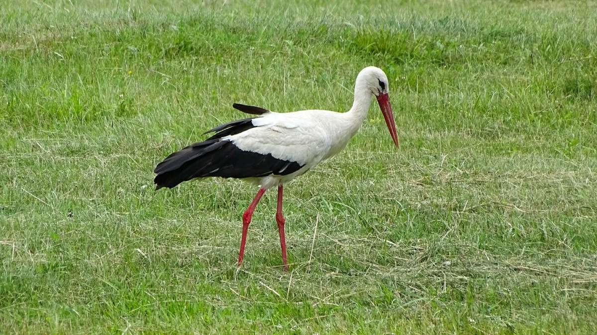 ���� �� �����. ����� �������� �������� �� PhotoGeek.ru #�������� ���