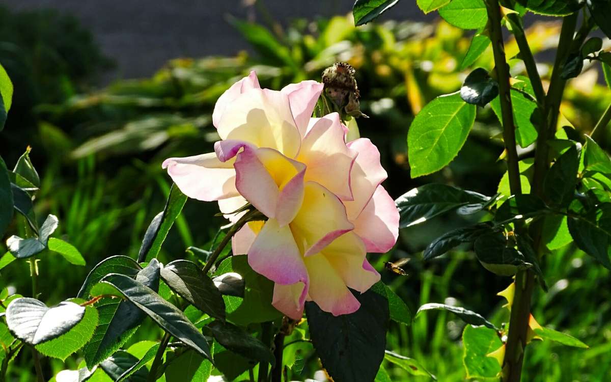 ��������� ����. ����� �������� �������� �� PhotoGeek.ru #����� #�����