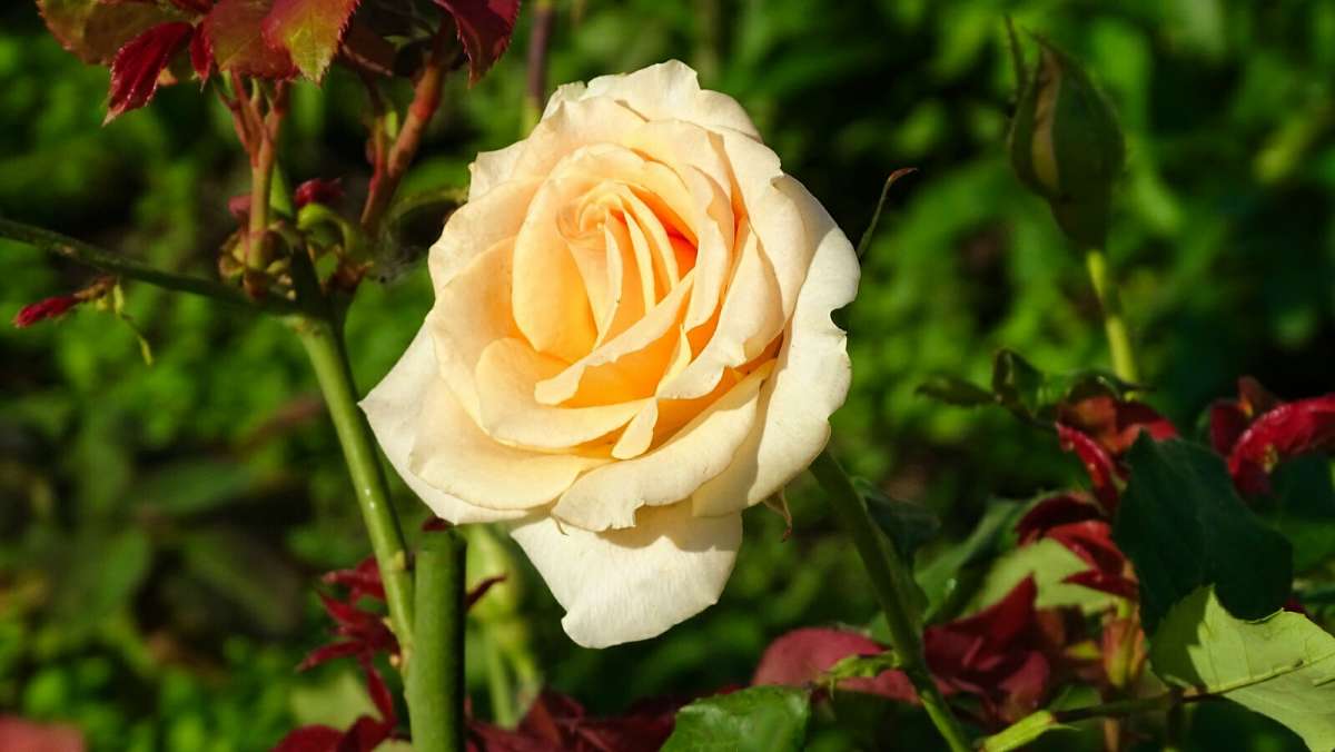 ��������� ����� ����� �������� �������� �� PhotoGeek.ru #����� #�����