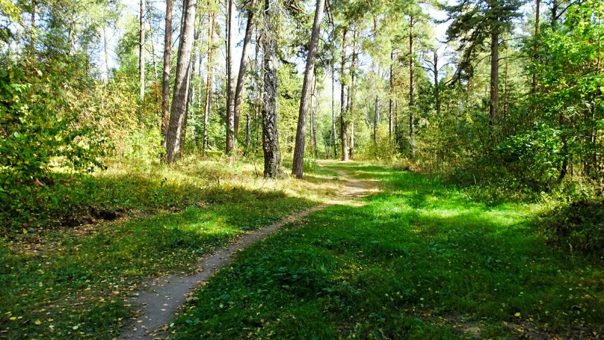 ���������� �����. ����� �������� �������� �� PhotoGeek.ru #������ ��� �������