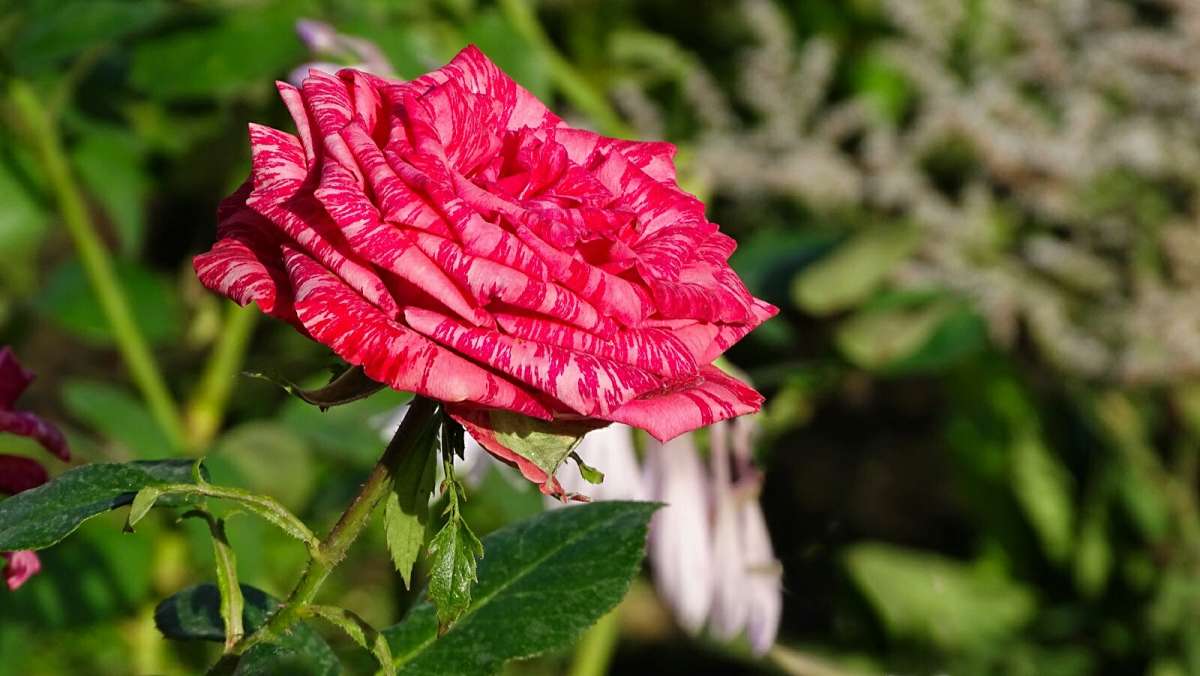 ��������� ����� ����� �������� �������� �� PhotoGeek.ru #����� #�����