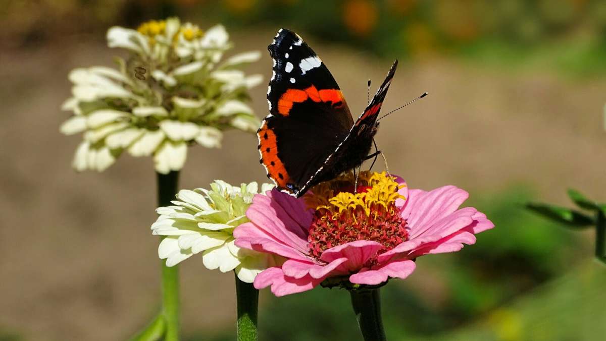 �� ����� �������. ����� �������� �������� �� PhotoGeek.ru #����� #�����