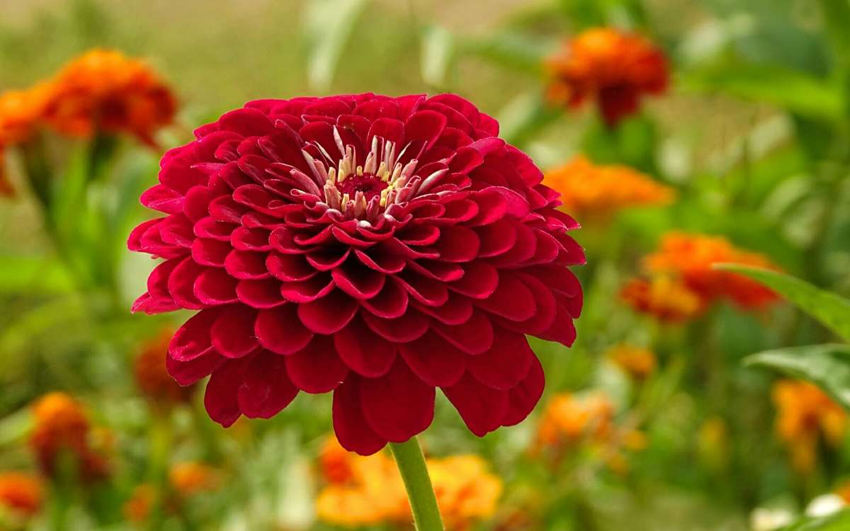 ����� �� ��������� �������. ����� �������� �������� �� PhotoGeek.ru #����� #�����