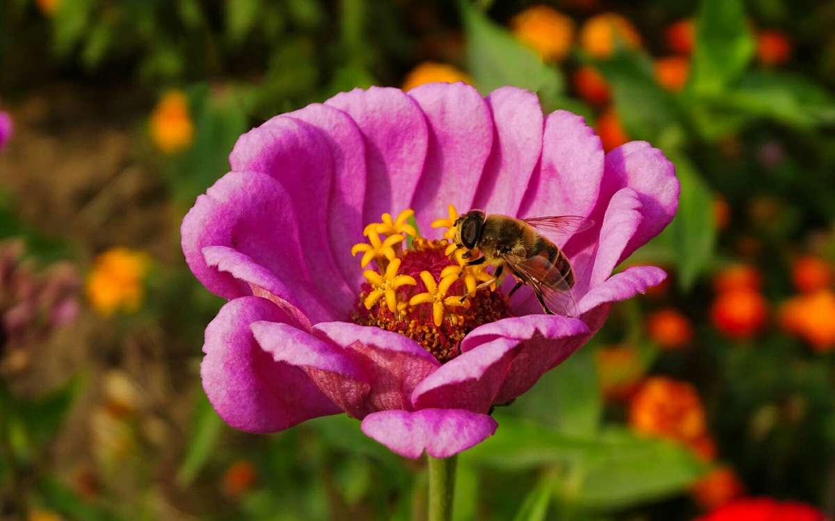�������� �������� ����� �������� �������� �� PhotoGeek.ru #����� #�����