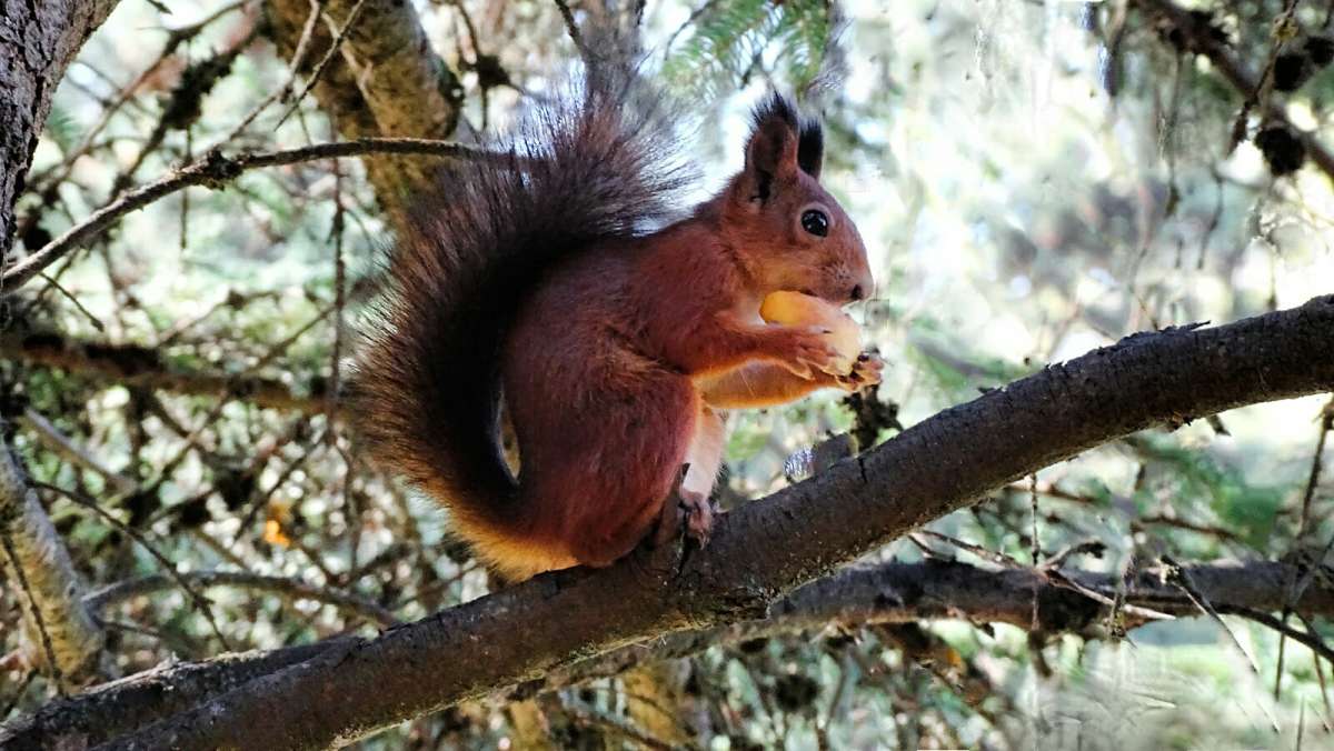 ����� � ��������� �����. ����� �������� �������� �� PhotoGeek.ru #����� #�������� ���