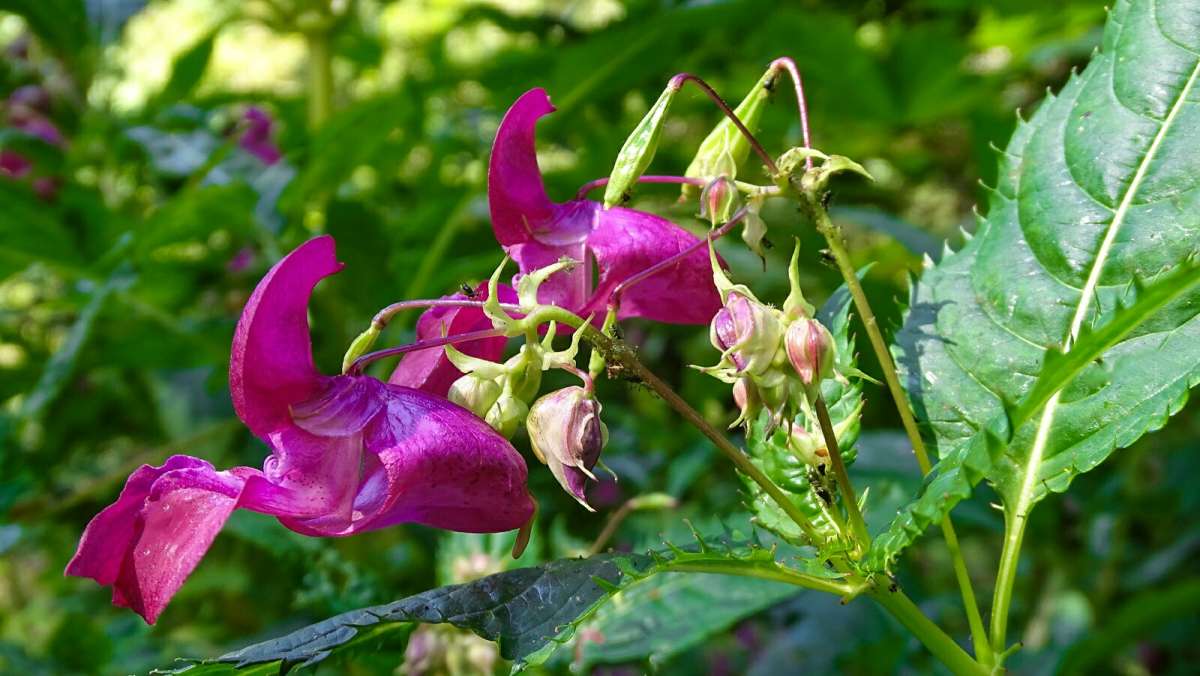 ��������� ����� �������� �������� �� PhotoGeek.ru #����� #�����