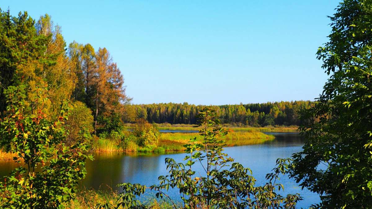 ������� ������. ����� �������� �������� �� PhotoGeek.ru #������ ��� �������