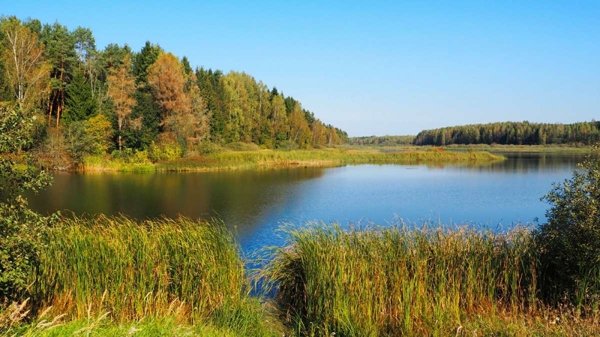 ����� ������. ����� �������� �������� �� PhotoGeek.ru #������ ��� �������