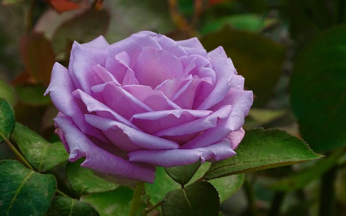 ��������� ����� ����� �������� �������� �� PhotoGeek.ru #����� #�����