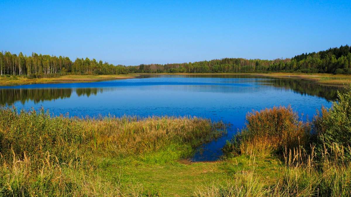 ��� ���� ����� �������� �������� �� PhotoGeek.ru #������ ��� �������
