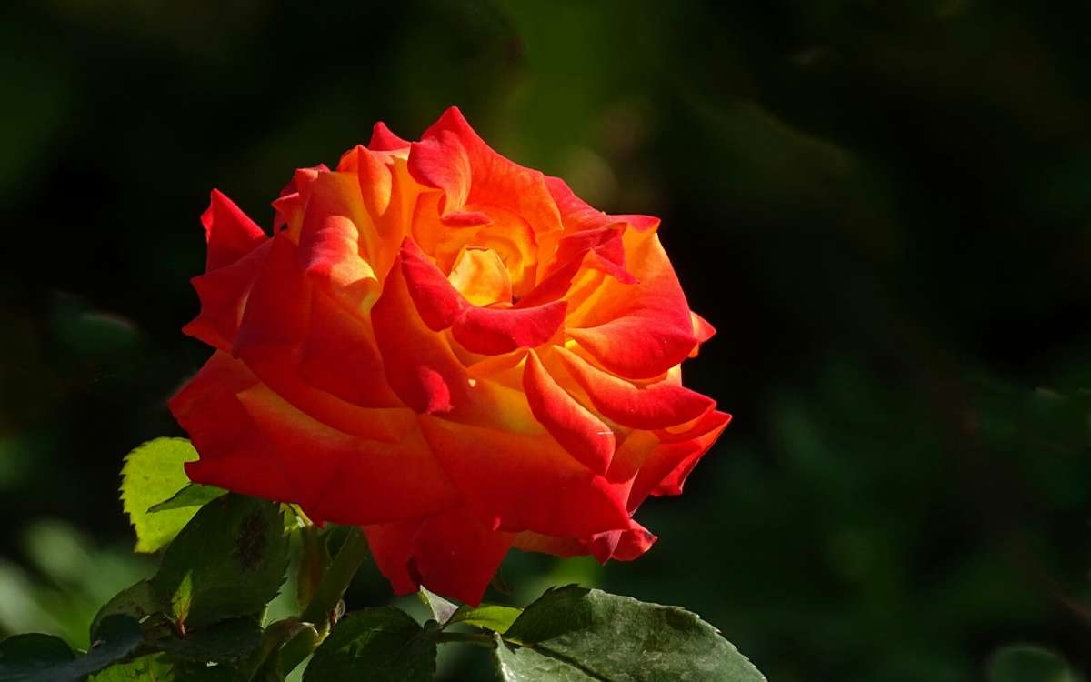 ���� "��������". ����� �������� �������� �� PhotoGeek.ru #����� #�����