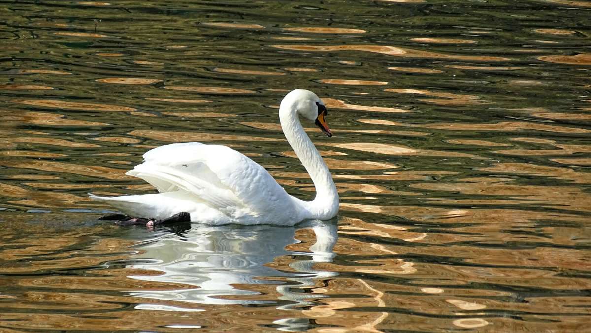 ����� ������ ���������� ����. ����� �������� �������� �� PhotoGeek.ru #����� #�������� ���