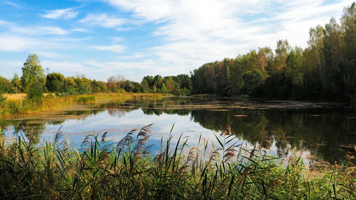 ������� ������. ����� �������� �������� �� PhotoGeek.ru #������ ��� �������