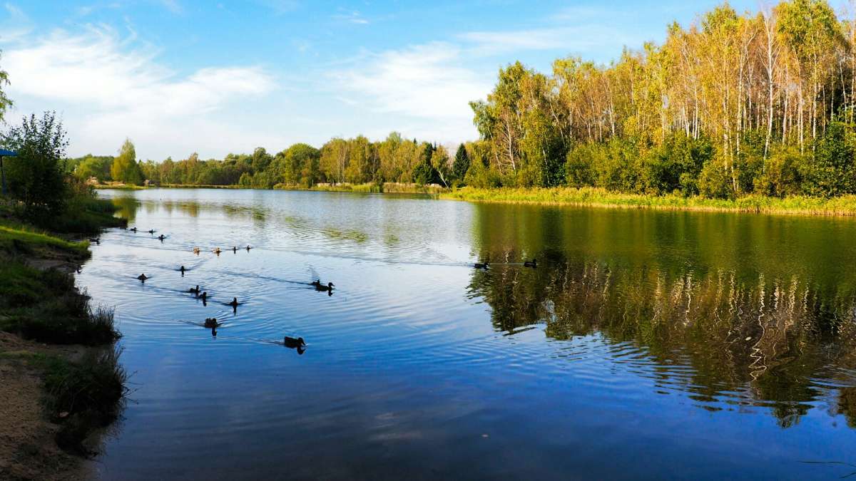 ������ ���� �� ���������. ����� �������� �������� �� PhotoGeek.ru #�������� ��� #������ ��� �������