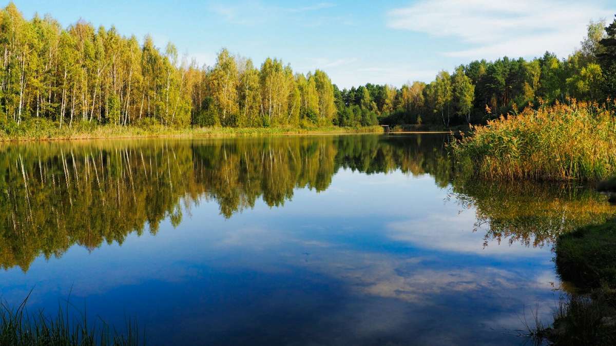 ���������� �����. ����� �������� �������� �� PhotoGeek.ru #������ ��� �������