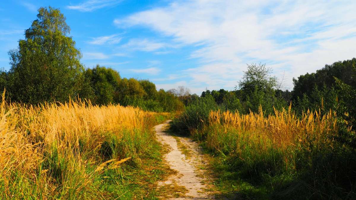 ������� ������� ����������. ����� �������� �������� �� PhotoGeek.ru #������ ��� �������