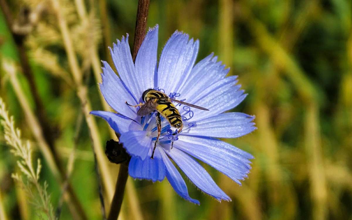 ������� ����������. ����� �������� �������� �� PhotoGeek.ru #������ ��� �������