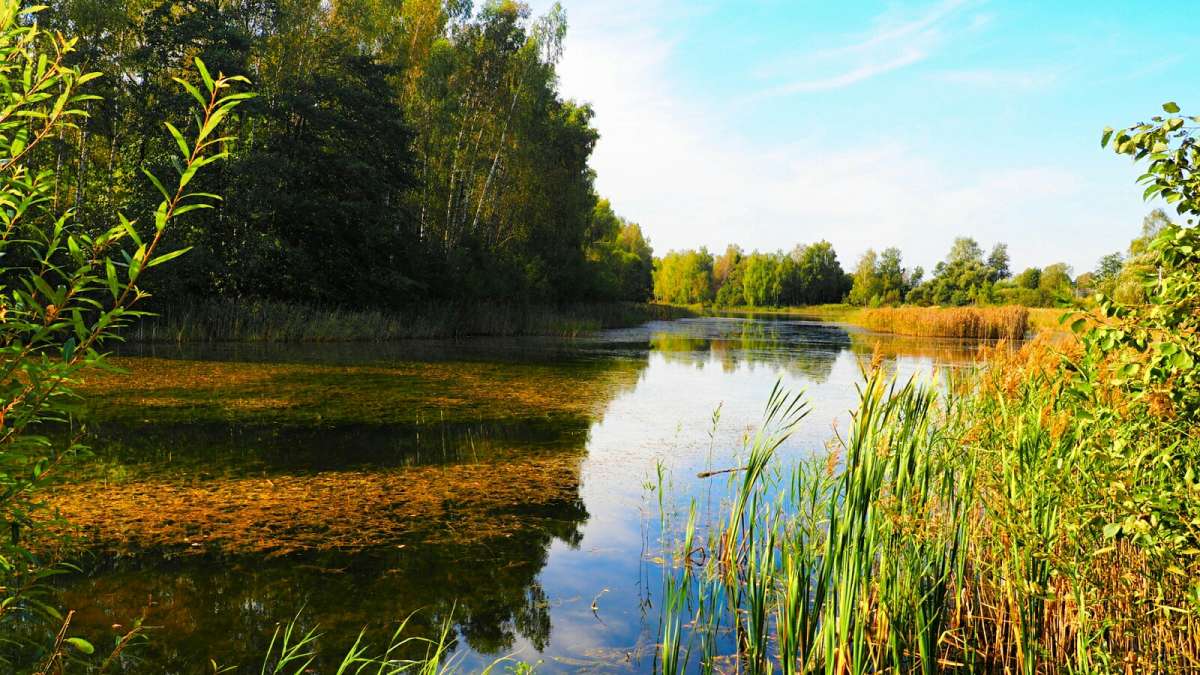 ��� ����� � ��������. ����� �������� �������� �� PhotoGeek.ru #������ ��� �������